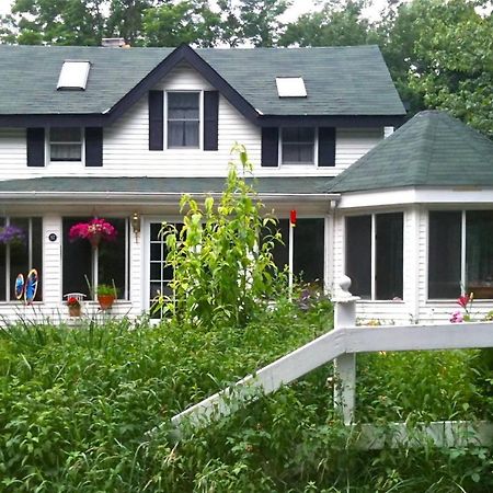 Play All Day - Sleep By The Stream At Night - Swimming Hole Palenville Exterior foto
